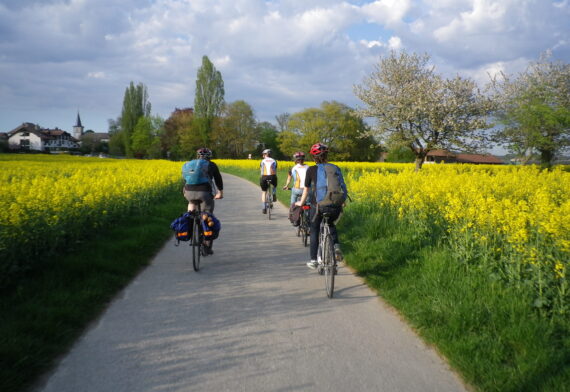 Cyclists riding along a bikeway surrounded by flowers in bloom in the French Alps