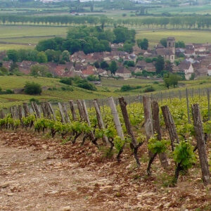 View of a village from a Beaujolais vineyard