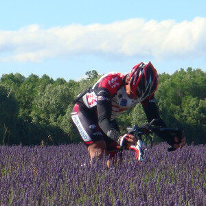 Cyclist in the middle of a lavender field
