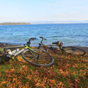 Bikes enjoying a pause by Lake Léman during a break