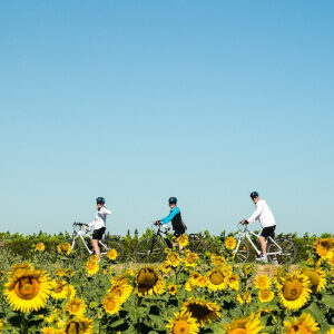 Ride through the beautiful Provence countryside on this tour through Upper Provence